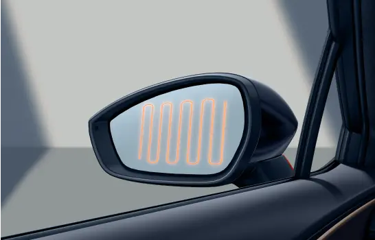 door-mirror-1